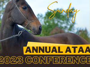 Annual ATAA Conference 2023: Sunday Only Attendee Access