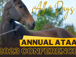 Annual ATAA Conference 2023: All Three Days Attendee Access, No T-Shirt